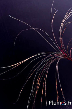 Ciondolo in filo di pavone - 15-28 cm - carminio-verde naturale